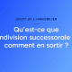 Cabinet GUION DE MERITENS - Indivision successorale vidéo